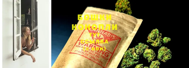 Шишки марихуана THC 21%  сколько стоит  Игарка 